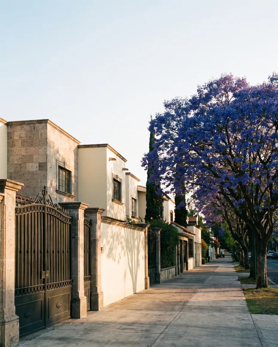 Calle arbolada de la colonia Americana en Guadalajara al atardecer, con casas de cantera y jacarandas